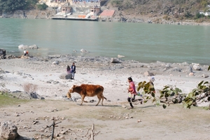 Rishikesh, yoga and baba bags