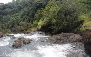 A trip to the valley of flowers-Satara-Maharashtra