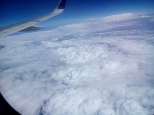 My first flight trip with Vistara! Superb Experience