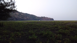 Velas Turtles Fest 2015