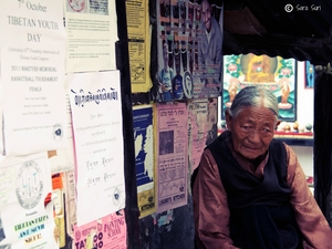 Think Tibet. Mcleodganj Musings