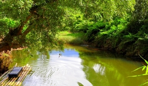 Bamboo rafting experience in Wayanad