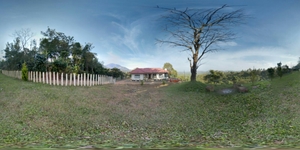 Wayanad - The unexplored face of Gods Own Country