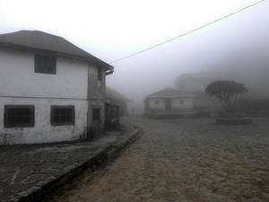 Among the Serenity of Clouds (Sandakphu Trek)