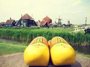 Exploring windmills in the scenic Dutch countryside