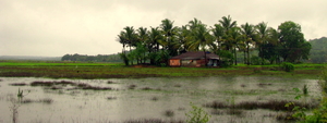 This Island In Goa Sheds Light On Its Tragic Past That Tourists Didn't Know Existed