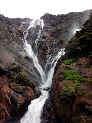 Trek to Dudhsagar