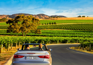The Barossa Valley, Australia's Renowned Wine Region