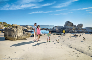 Bigger The Better: Travelling To South Africa For A Wild Family Vacation