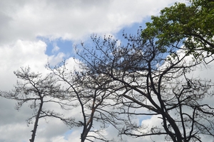 Meghalaya - truly in the abode of clouds & lap of nature :)