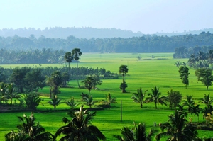 This video of Kerala shows the beauty of the coastal state in perfect aerial shots!