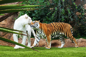Tourist Places in Kerela