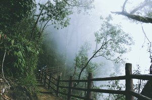 Courting the clouds in Meghalaya