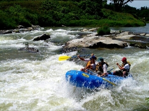 Naldehra - The Hidden Treasure of Himachal