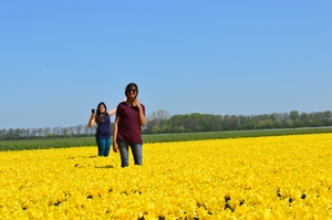 Destra-Sinistra through the North of Netherlands