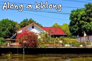 Bangkok chronicles
