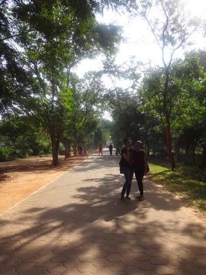 Lunch in Pondicherry