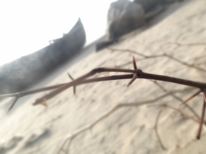 Castles in the Sand : A Digha Chronicle !