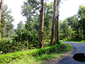 Why travelling around India is the best thing that I have ever done!