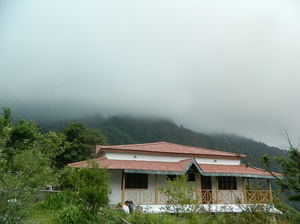A Jewel Tucked in the Himalayas - Pangot