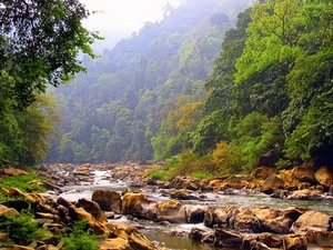River Trekking at Neora Valley National Park