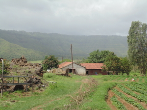 Mahabaleshwar In Monsoon :)