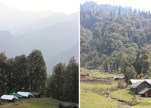 TRAVEL :: Magpie Jungle Camp, CHOPTA