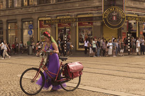 THE TALE OF A TRAVELOGRAPHER