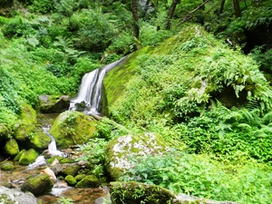 Daredevils, explorers, soul searchers: Tirthan Valley holds special treats for all