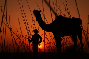 The month 'Pushkar' gets really alive ...