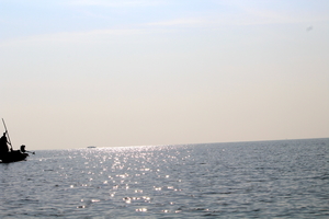 A day trip to Nalabana, the heart of the beautiful Chilika.
