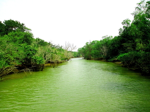 Seven stunning Wildlife destinations in Odisha.