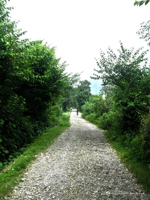 Devi Pindian Trek - Photoblog