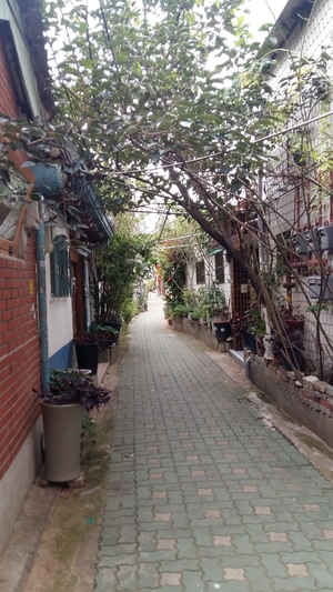 An afternoon in Ikseon-dong