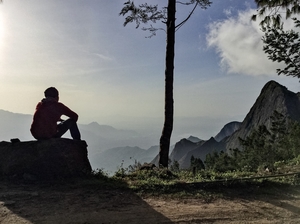 Kolukkumalai - Home to the World's highest organic tea plantations - A Solo Trek.