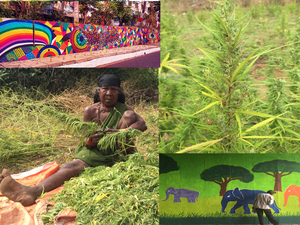7000 Kms Of Craziness. Part 1 - The Mysterious Tribal Village.
