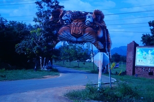 Tiger Temple Thailand!