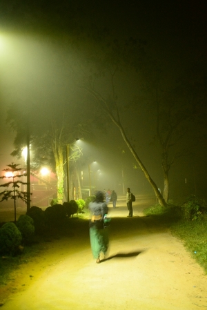 A Series of Very Fortunate Events: Our Unforgettable Trip to Coorg