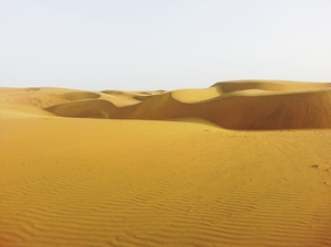 DESERT NIGHTS in INDIA!