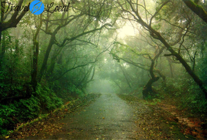 Weekend Destination – Panchgani