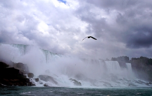 Roaring Niagara Falls