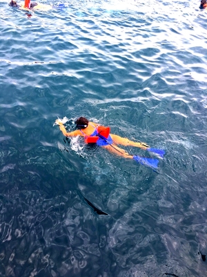 My first encounter with the Pacific Ocean to find the Hidden Beach!
