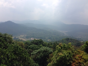 Celebrating love in Coorg!