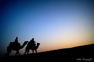New Year Trip to Jaisalmer