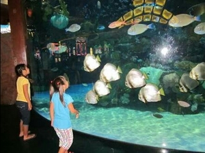 Las Vegas and Around with Kids Travel Hacks!