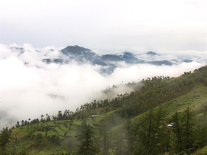 Leave The Crowded Vistas Of Shimla - Head To Quieter And Lovely Mashobra