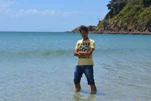 Into the wilderness!! Discovering North Island, NZ