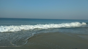“Heads to nightlife in south goa”
