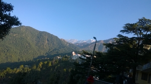 Hairpin Bends: Winter in the Kangra region