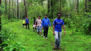 A Parambikulam safari